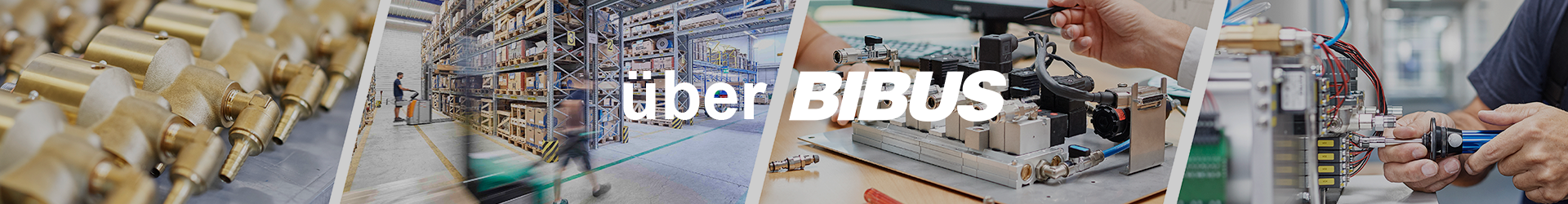 ueberBIBUS
